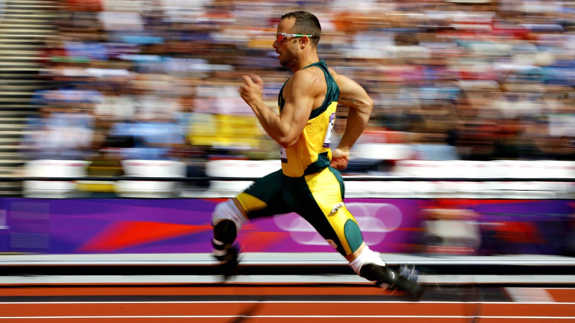 体育产业发展速度加快