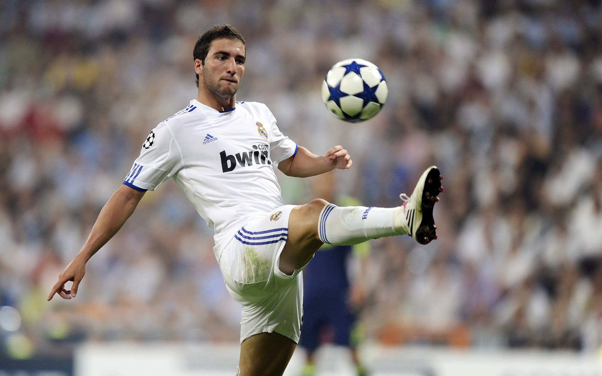 体育培训行业爆发增长